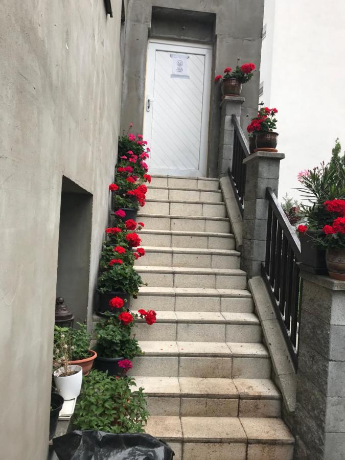Penzion Vilo Bratislava Esterno foto